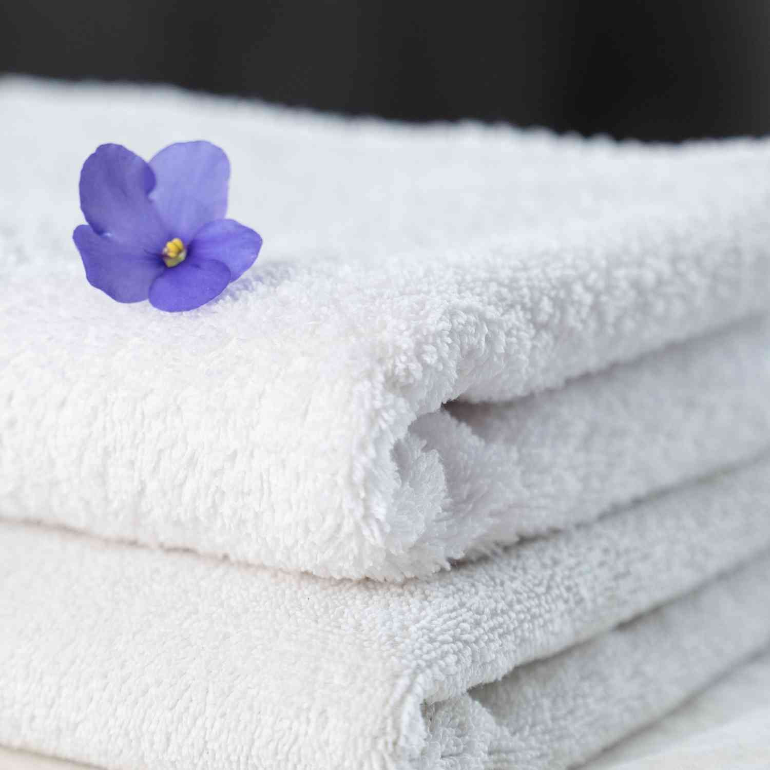 Vacation Rental Linen Program Host Boise